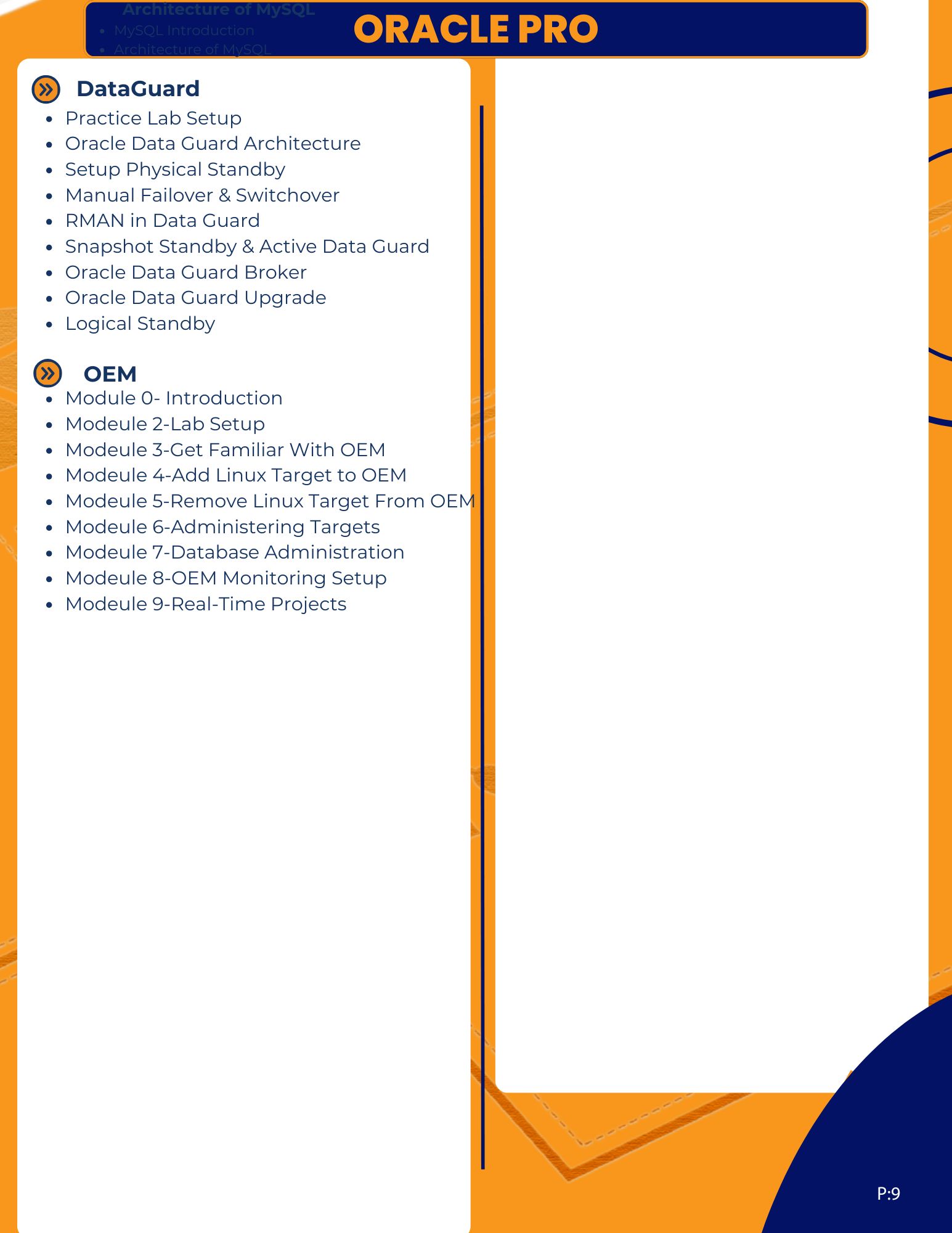 Pracheta DBA 11